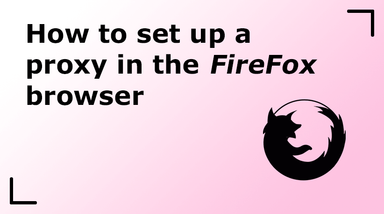 How to set up a proxy in the FireFox browser