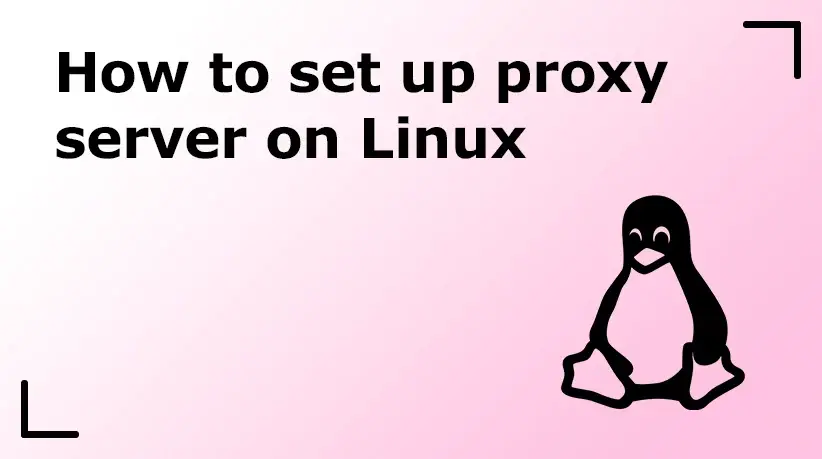 How to Set Up Proxy Server on Linux