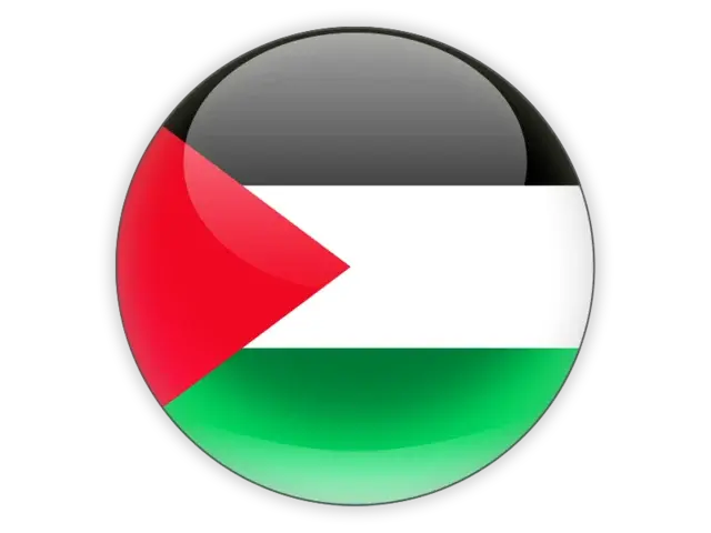 Palestine proxy