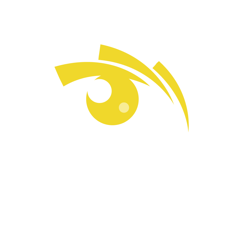 SpyOver proxies