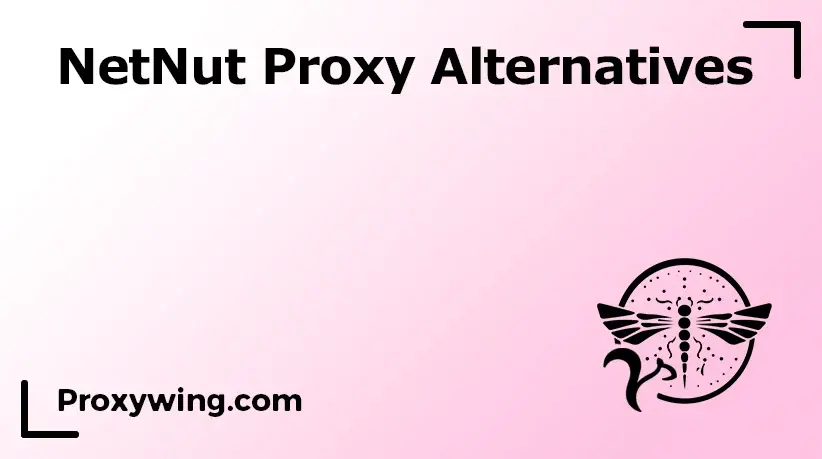 Proxy NetNut