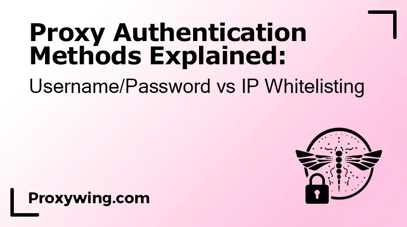 Comparison of proxy authentication methods using credentials and IP whitelisting