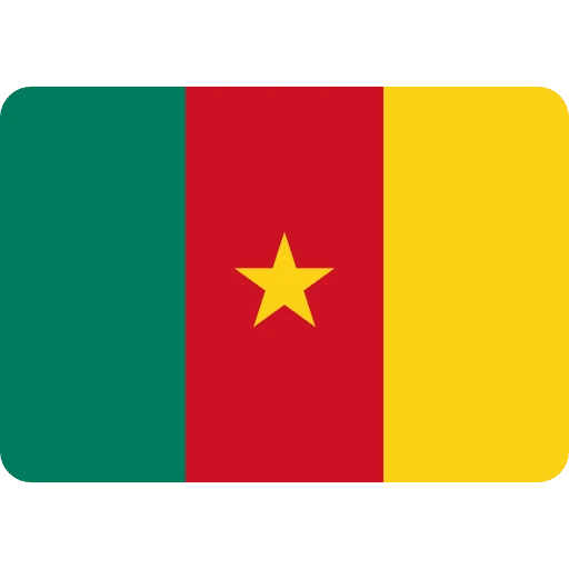 cameroon flag