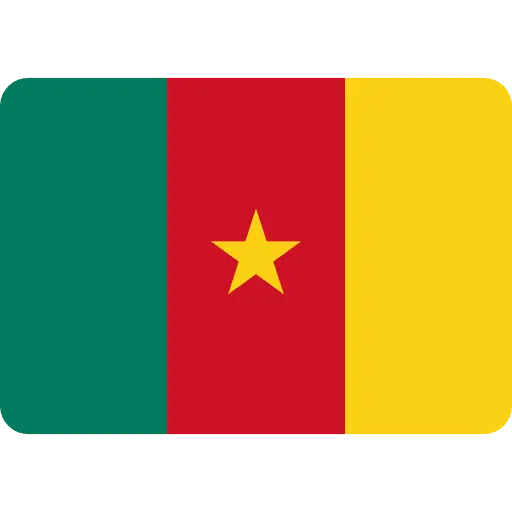 cameroon flag