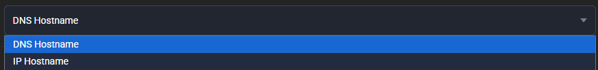 Open hostname dropdown of the Standard generator with the two options DNS Hostname (selected) and IP Hostname