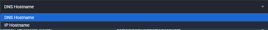 Desplegable de nombre de host del generador Estándar abierto con las dos opciones DNS Hostname (seleccionada) e IP Hostname